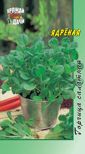 Горчица салатная Ядрённая 0,3г УУ