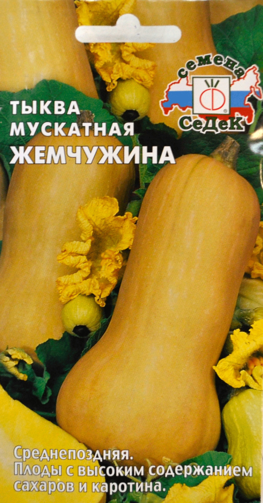 Тыква Жемчужина (мускатная) 1,5г "Седек"