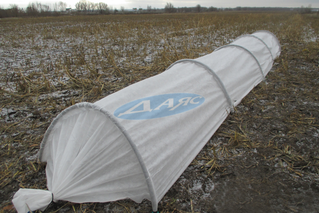 Парник "ДАЯС МИНИ" 5,0м.