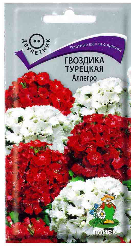 Гвоздика турецкая Аллегро 0,3г "Поиск"