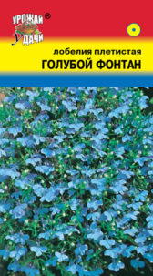 Лобелия плетистая Голубой фонтан УУ