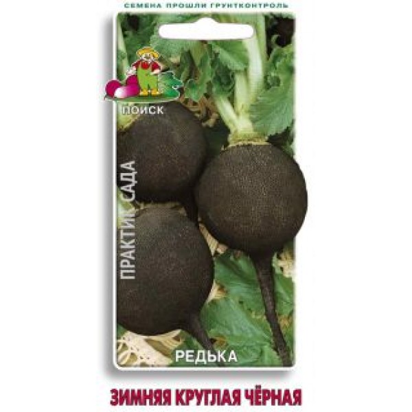 Редька Зимняя круглая 2,0г "Поиск" 