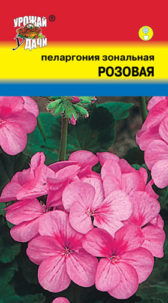 Пеларгония зональная Розовая F1  УУ