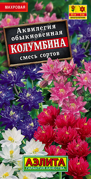 Аквилегия Колумбина, смесь окрасок "Аэлита"
