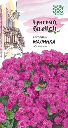 Агератум Малинка 0,1г