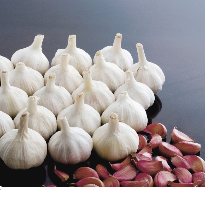 Чеснок Любаша, кг.