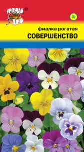 Фиалка рогатая Совершенство, смесь УУ