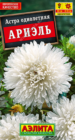 Астра Ариэль "Аэлита"