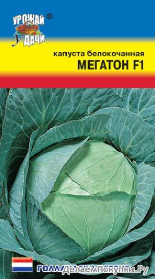 Капуста белокоч. Мегатон F1 УУ