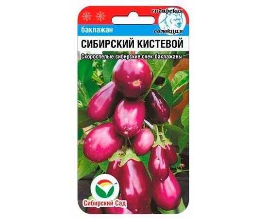 Баклажан Сибирский кистевой 20шт "СибСад"