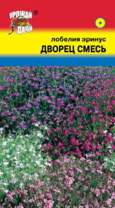 Лобелия низк. Дворец смесь УУ