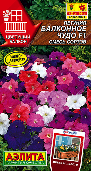 Петуния махр. Балконное чудо F1, смесь "Аэлита"