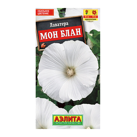 Лаватера Мон Блан "Аэлита"