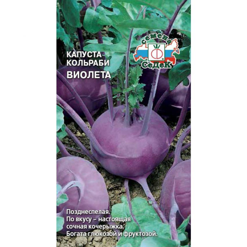 Капуста кольраби Виолета "Седек"