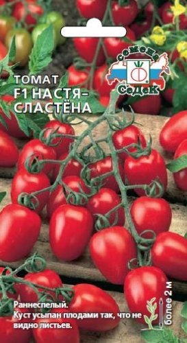 Томат Настя сластёна 0,05г "Седек"