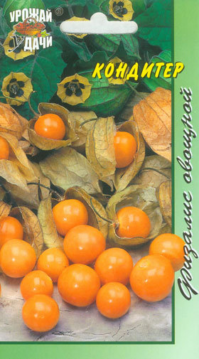 Физалис Светка-Конфетка, УУ