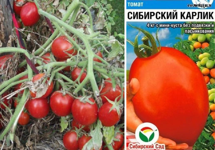 Томат Сибирский Карлик 20шт "СибСад"