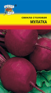 Свекла Мулатка УУ 