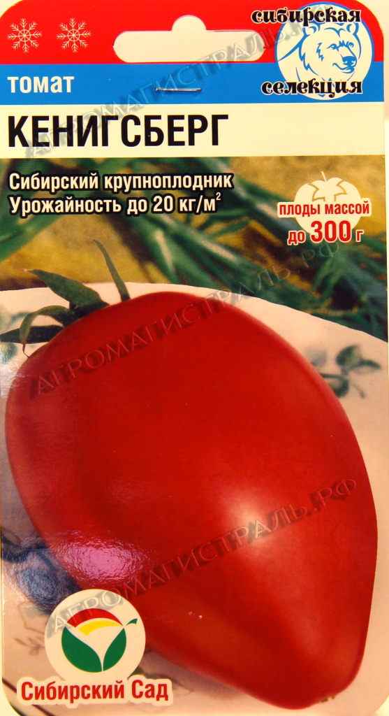 Томат Золотой Кенигсберг 20шт "СибСад"