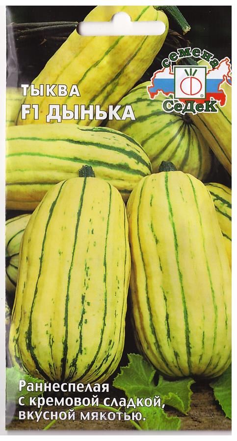 Тыква Дынька F1, 1,0г "Седек"