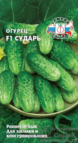Огурец Сударь F1 "Седек"
