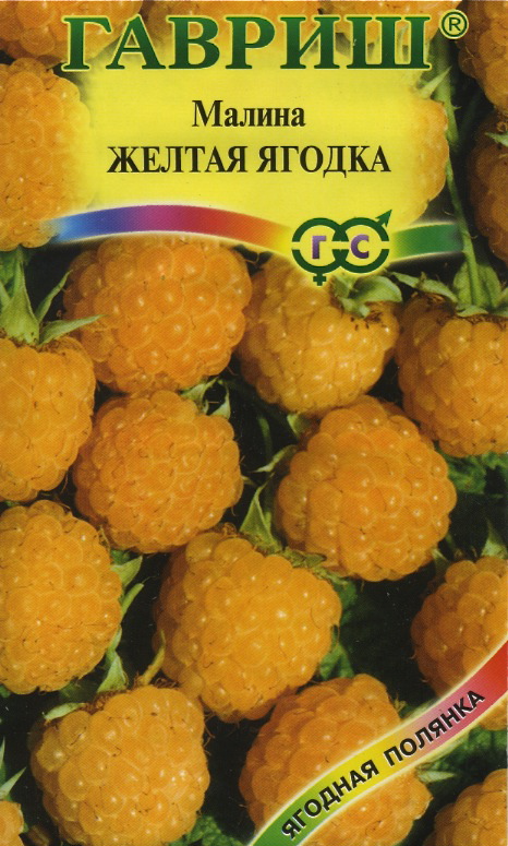 Малина Жёлтая ягодка 10шт
