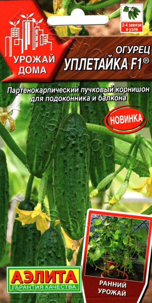 Огурец Уплетайка F1 "Аэлита"