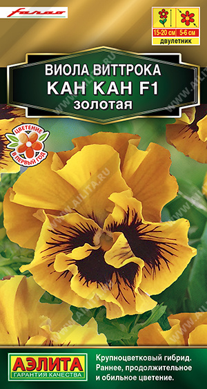 Виола Кан Кан F1 золотая 7шт "Аэлита"