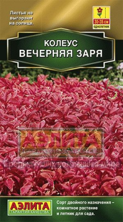 Колеус Вечерняя заря 10шт "Аэлита"