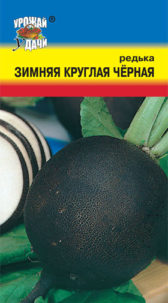 Редька зимняя Черная ц/п УУ