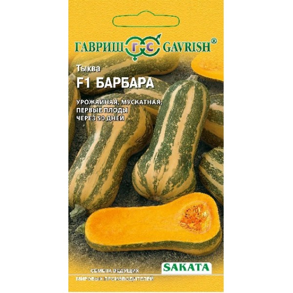 Тыква Барбара F1 мускатная (Саката), 5шт