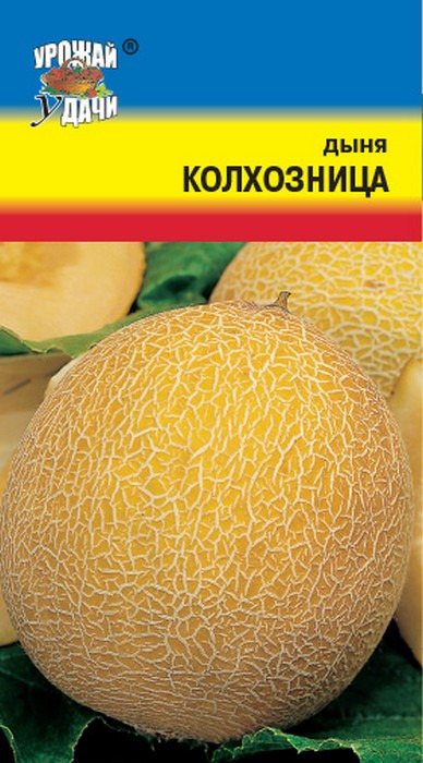 Дыня Колхозница УУ