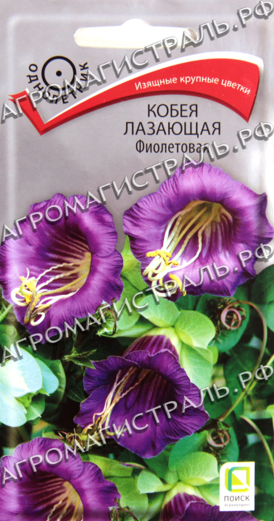 Кобея Лазающая Фиолетовая, 5шт "Поиск"