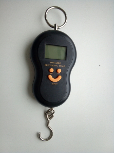 Безмен электрон. 50кг