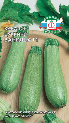 Кабачок Ванюша F1, 2г "Седек"