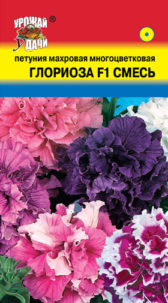 Петуния махровая Глориоза 8шт УУ