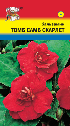 Бальзамин Том Самб Скарлет 0,2г УУ