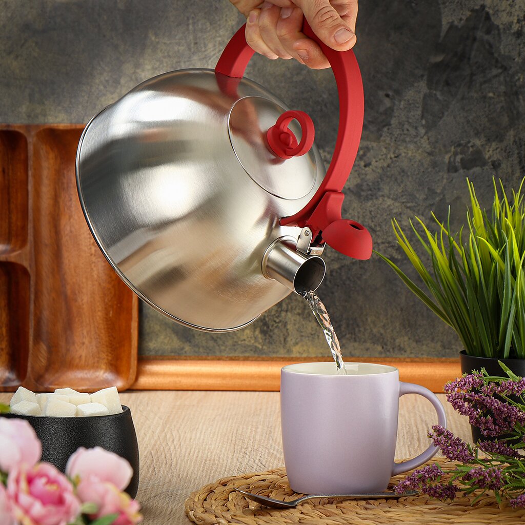 Чайник нерж. 2,8л со свистком Daniks GS-04003, индукция