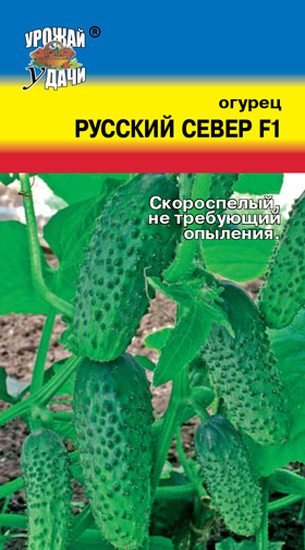 Огурец Русский север F1 ц/п УУ