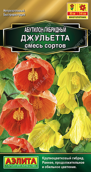 Абутилон гибрид Джульетта, смесь окрасок "Аэлита"