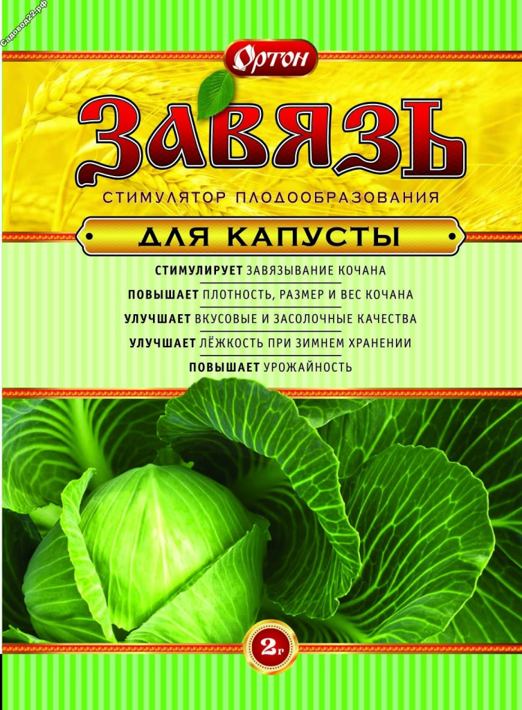 Завязь капуста 2г