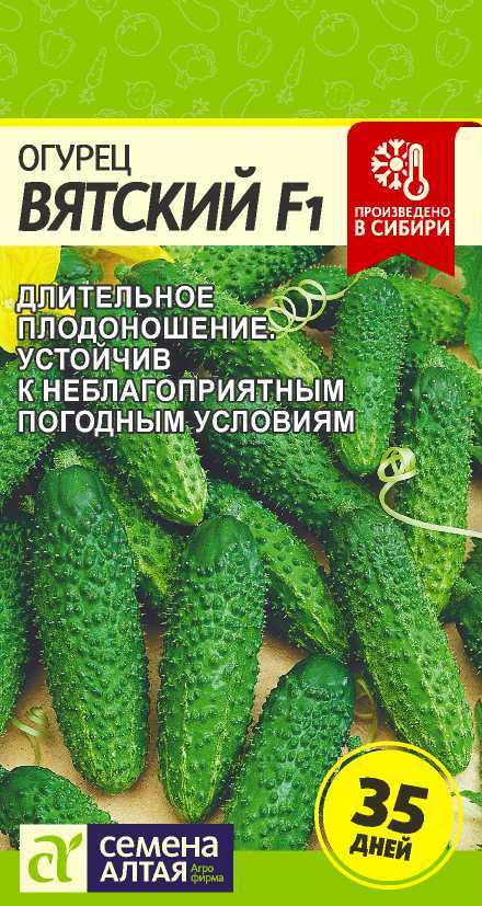 Огурец Вятский F1 6шт "Алтай"