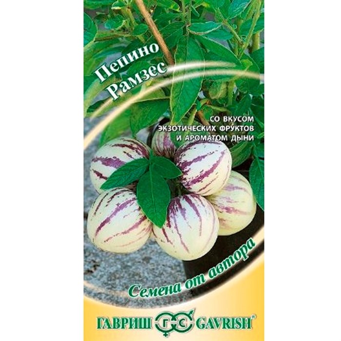 Пепино Рамзес 5шт (дынная груша)
