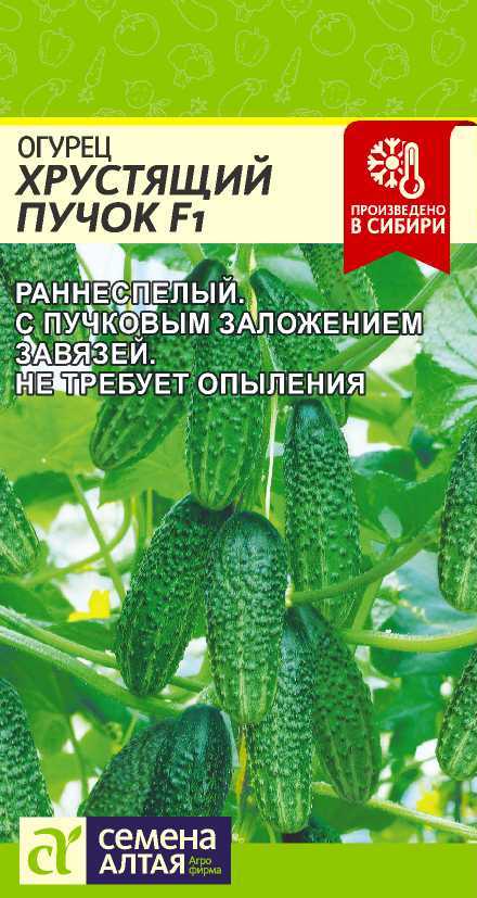 Огурец Хрустящий Пучок F1 6шт "Алтай"