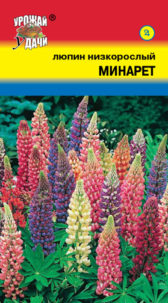 Люпин Минарет низкорослый, УУ