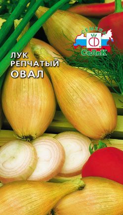 Лук репч. Овал 0,5г "Седек"