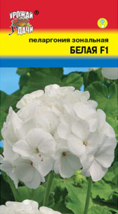 Пеларгония зональная Белая F1  УУ