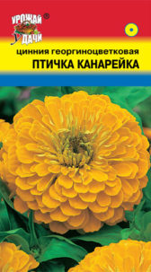 Цинния георгиноцветковая Птичка Канарейка,  УУ