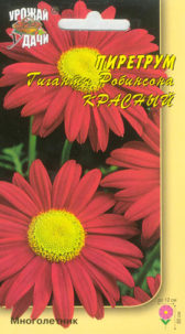 Пиретрум красный Гиганты Робинсона  УУ