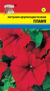 Петуния крупноцв. Пламя УУ